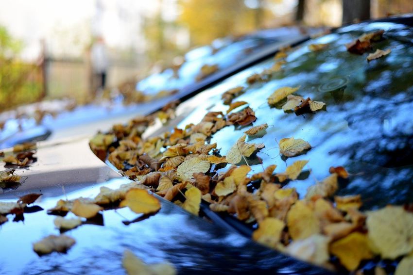 Manutenzione auto in autunno, le cose da sapere